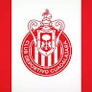 Meet your Posher, Luis